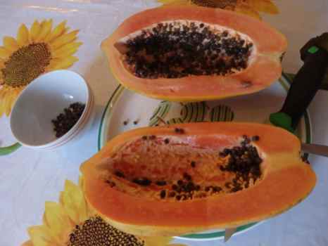 Papaya ricca di succhi benefici